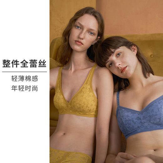 HSIA遐无钢圈内衣女薄夹棉防凸点向阳花开蕾丝全罩杯大胸显小文胸 商品图3
