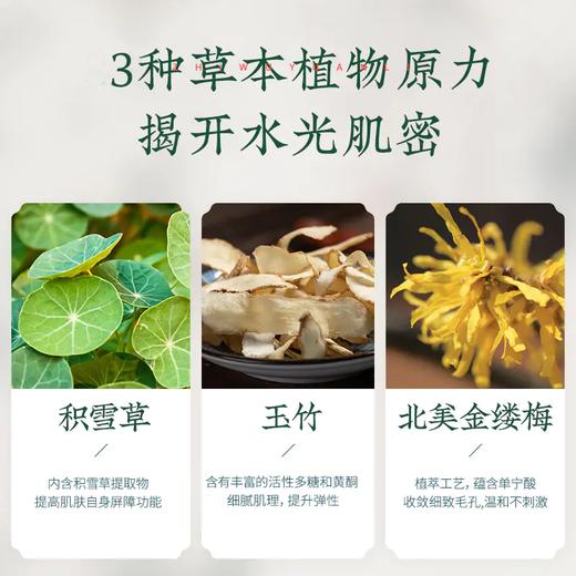 睡走干燥肌的人参玉容面膜 100g 商品图3