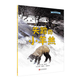 失踪的小羊羔 我的动物朋友系列 3000927