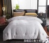 蚕蛹蛋白奢华被子被芯 冬被 床上用品 商品缩略图0