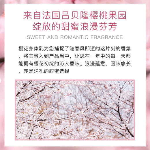 【中欧班列精选】法国欧舒丹身体乳甜蜜樱花保湿滋润香体闪亮持久润肤乳 250ml 1lpy 商品图2