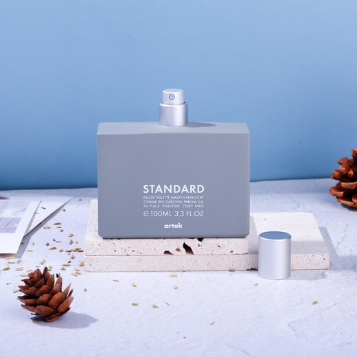 川久保玲 标准 Comme des Garcons Standard 分装 商品图2