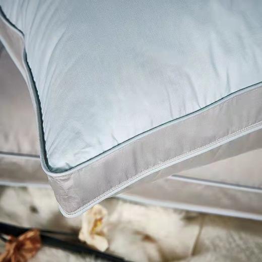 富安娜炫彩抗菌鹅绒枕\蓝\45*70 商品图2