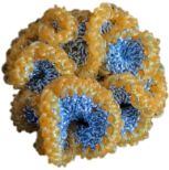 GAFB/RCES01-C07 种珊瑚系列耳钉