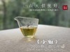 带着桂花香的2021年抛荒高级白牡丹《小雅》登场，汤水极鲜，极嫩，仿佛豆花初初出炉（1斤收藏装） 商品缩略图11