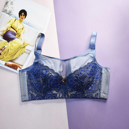 皇家丽美大胸显小有钢圈蕾丝纱调整型文胸W13-1 商品图2