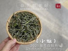 带着桂花香的2021年抛荒高级白牡丹《小雅》登场，汤水极鲜，极嫩，仿佛豆花初初出炉（1斤收藏装）