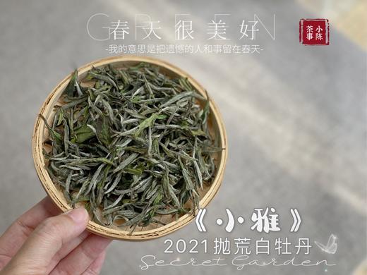 带着桂花香的2021年抛荒高级白牡丹《小雅》登场，汤水极鲜，极嫩，仿佛豆花初初出炉（1斤收藏装） 商品图0