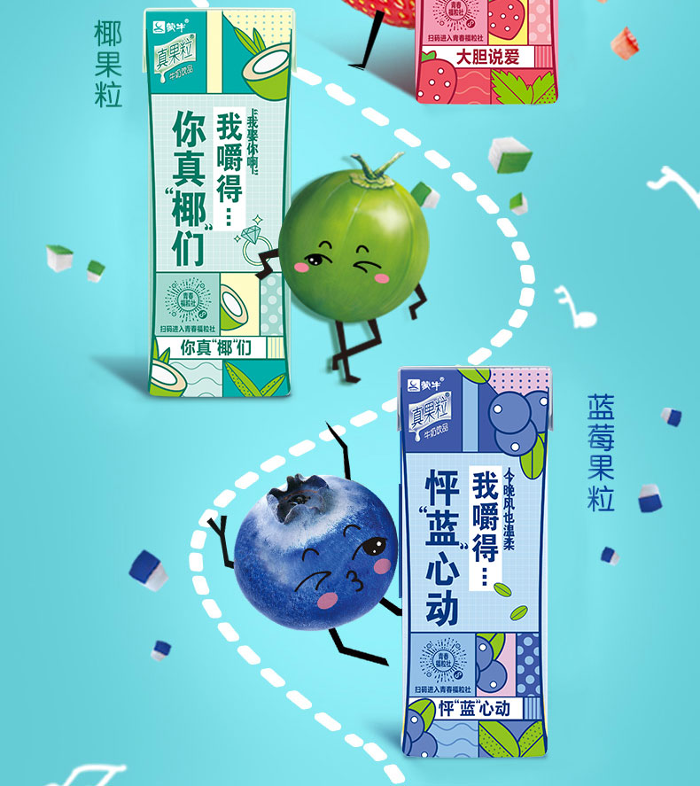 蒙牛真果粒椰果粒牛奶250g12盒