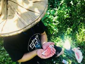 走遍中国为你找到最好吃的水果。