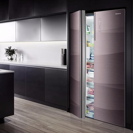 卡萨帝（Casarte）冰箱BCD-801WDCPU1 商品图1