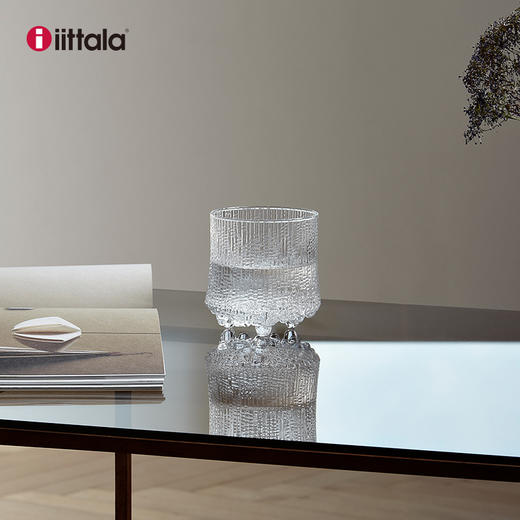 【6F】廊湾Iittala伊塔拉极冻系列玻璃酒杯套装家用威士忌啤酒气泡酒杯礼品 商品图2