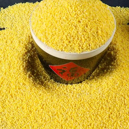 临泉2022年新小米临泉特产五谷杂粮农家糯小米熬粥必备 商品图2