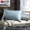 富安娜炫彩抗菌鹅绒枕\蓝\45*70 商品缩略图0