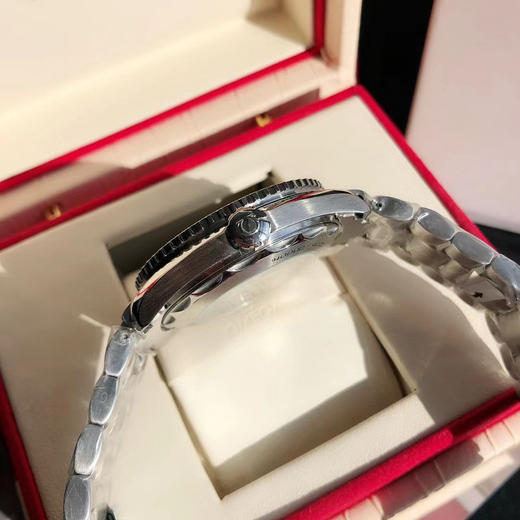 OMEGA欧米茄海马系列600米 潜水男士机械腕表
机芯：搭载进口西铁城 商品图6