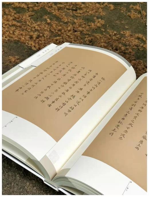 《颜氏家藏尺牍》，清 颜光敏藏，上海图书馆编，8开精装带函套，全套8册，净重40斤，原色影印，上海科学技术文献出版社2015年12月一版一印，仅印600套。 商品图8