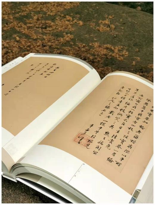 《颜氏家藏尺牍》，清 颜光敏藏，上海图书馆编，8开精装带函套，全套8册，净重40斤，原色影印，上海科学技术文献出版社2015年12月一版一印，仅印600套。 商品图7