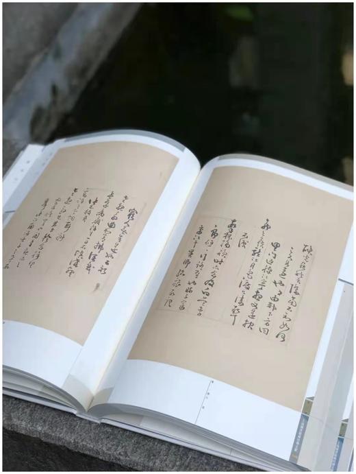 《颜氏家藏尺牍》，清 颜光敏藏，上海图书馆编，8开精装带函套，全套8册，净重40斤，原色影印，上海科学技术文献出版社2015年12月一版一印，仅印600套。 商品图5