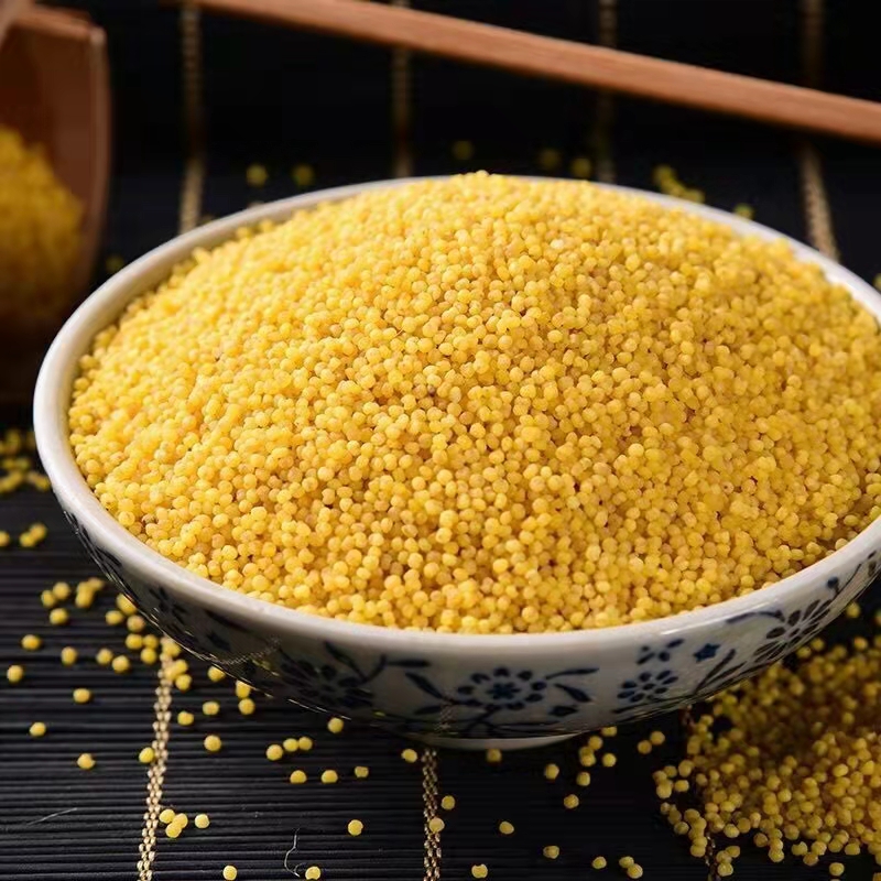 临泉2022年新小米临泉特产五谷杂粮农家糯小米熬粥必备