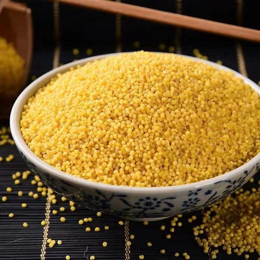 临泉2022年新小米临泉特产五谷杂粮农家糯小米熬粥必备 商品图0