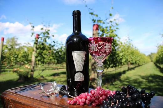 派利特瑞 惊叹号干红葡萄酒 (送精美礼盒）（跨境） 商品图2