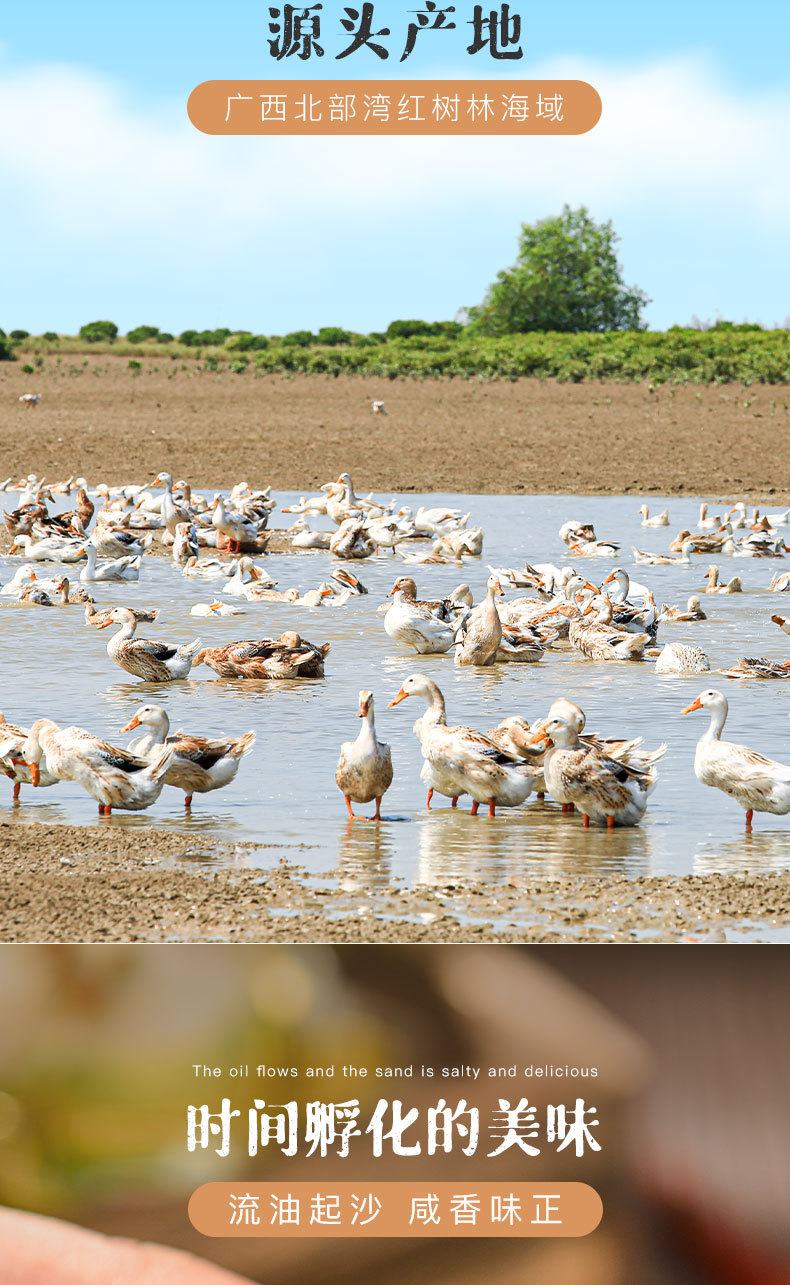 海鸭蛋详情2_02.jpg