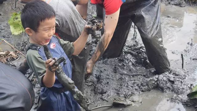 报名 | 金秋趣挖藕，荷塘大作战！
