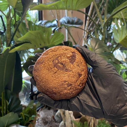 法芙娜巧克力大曲奇  · 常温点心 【非巧克力重度爱好者不要尝试】 商品图1