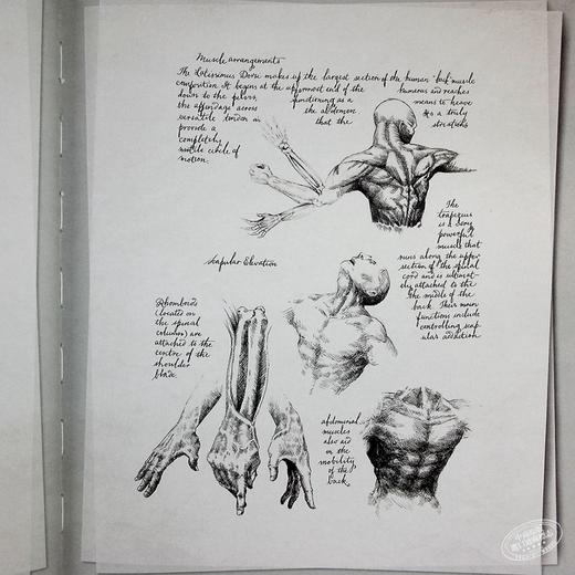 【中商原版】异形2契约 原画手稿 Alien Covenant Davids Drawings 英文原版 Dane Hallett Matt Hatton 商品图7