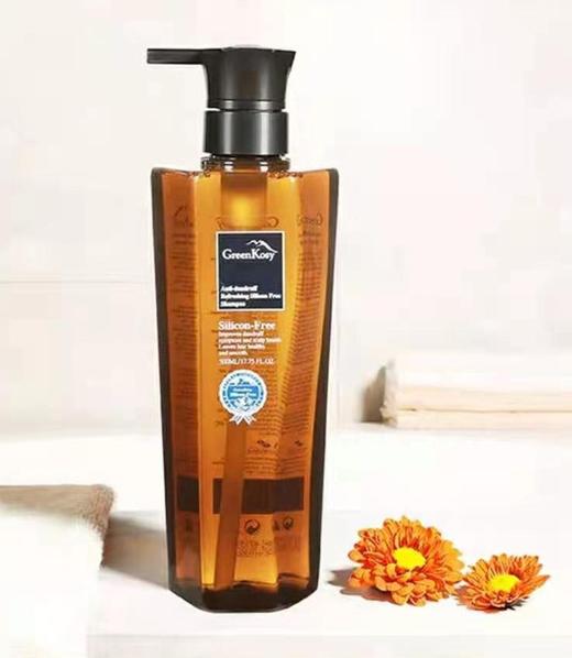 绿色溪谷椰油净爽去屑洗发液500ml 商品图0