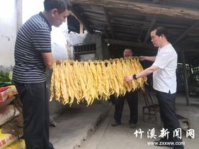 向坝乡学党史见行动 心系烟农解难题