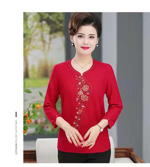 诗魅中袖318 天丝羊毛 商品图0