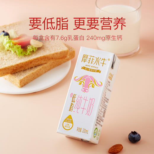 【满两件减5元 | 摩菲水牛纯牛奶】每盒含7.6g原生蛋白质 奶质丝滑浓郁 口感细腻香醇 商品图8