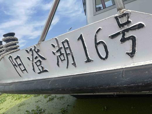 【公蟹正当到道！鲜！】70%淘汰率只选精品阳澄湖大闸蟹口感肥美黄肥膏白蟹黄鲜香99%的人没有吃过的正宗阳澄湖大闸蟹6/8/10母肥美大闸蟹组合任选! 商品图4