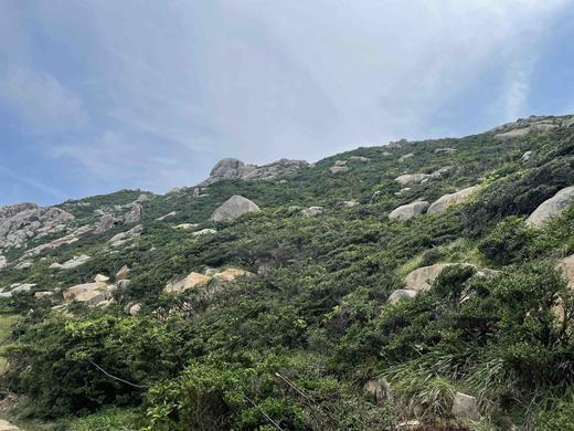 fs-测试 商品图0