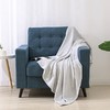 ABS爱彼此 卡蜜拉柔暖加厚双人毯 商品缩略图3