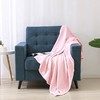 ABS爱彼此 卡蜜拉柔暖加厚双人毯 商品缩略图0
