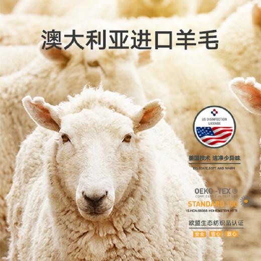 ABS 爱彼此云柔系列澳享舒睡羊毛被 商品图0