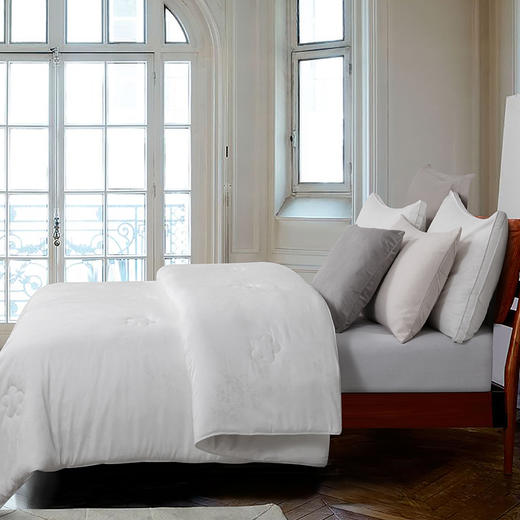 ABS爱彼此 软纤科技沁润柔暖蚕丝被 商品图1