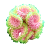 GAFB/RCES01-D01种珊瑚系列 耳钉