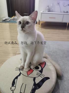 商品提报测试商品