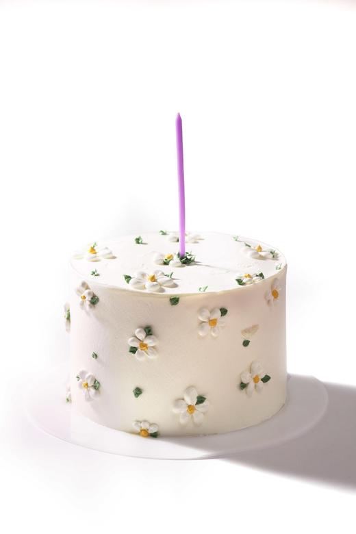 小雏菊 商品图0