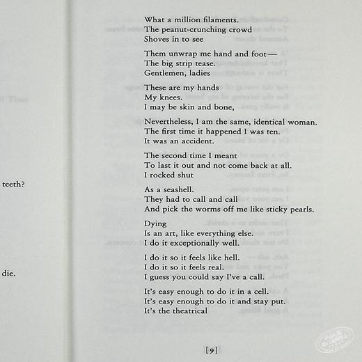 【中商原版】西尔维娅 普拉斯 爱丽尔 英文原版 Ariel Faber Modern Classics Sylvia Plath 普利策奖诗人 20世纪的诗坛奇迹 商品图5