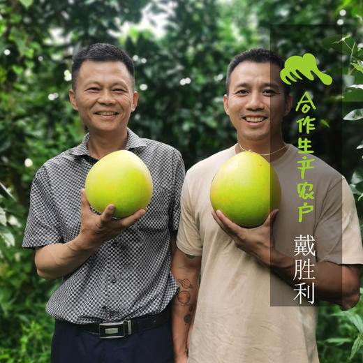 生态琯溪蜜柚（福建，圆通）（优惠） | 合作生产 * Eco-red grapefruit | Coproduction 商品图1