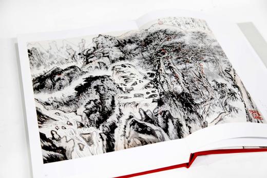 《陆俨少书画集:续编二》定价:380 沈明权 主编 中国美术学院 正版品牌直销 商品图3