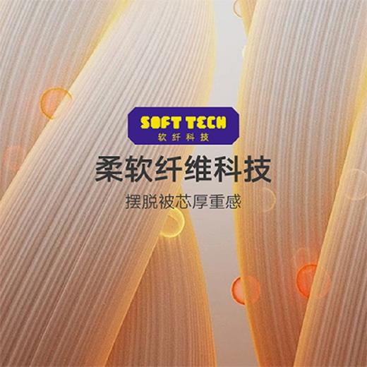 ABS 爱彼此云柔系列澳享舒睡羊毛被 商品图2