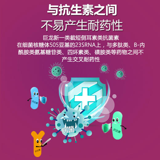 【泰妙宝】巨龙动保80%延胡索酸泰妙菌素预混剂100g/500g 商品图3