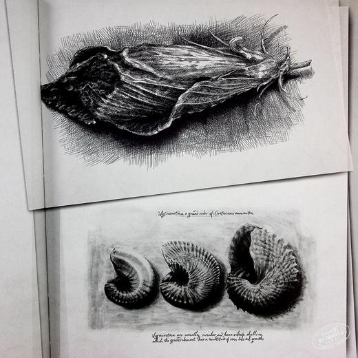 【中商原版】异形2契约 原画手稿 Alien Covenant Davids Drawings 英文原版 Dane Hallett Matt Hatton 商品图8