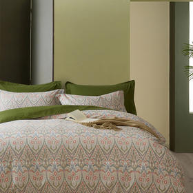 利路米2021秋季新款美式复古风精梳纯棉印花四件套佩兹利