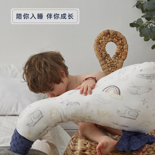 【2021春夏】动物抱枕【Domiamia】 商品图0